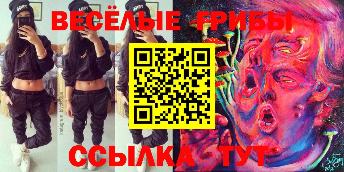 Псилоцибиновые грибы GOLDEN TEACHER Чайковский