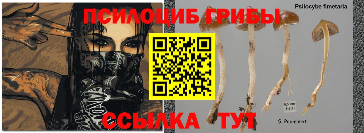 Псилоцибиновые грибы ЛСД  Вход с VPN  Чайковский  Галлюциногенные грибы Magic Shrooms 